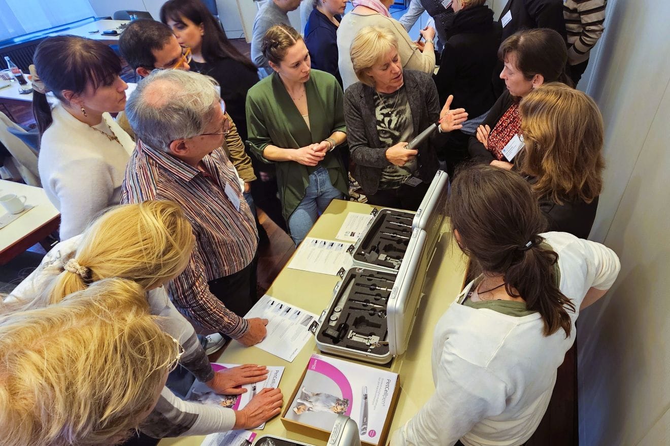 Bild News Stuttgart 2026